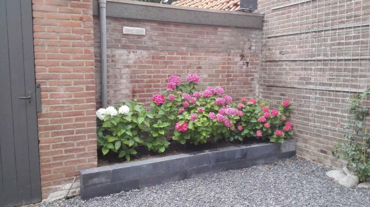 Bed and Breakfast De Notenbalk Aan Zee à Flessingue Extérieur photo
